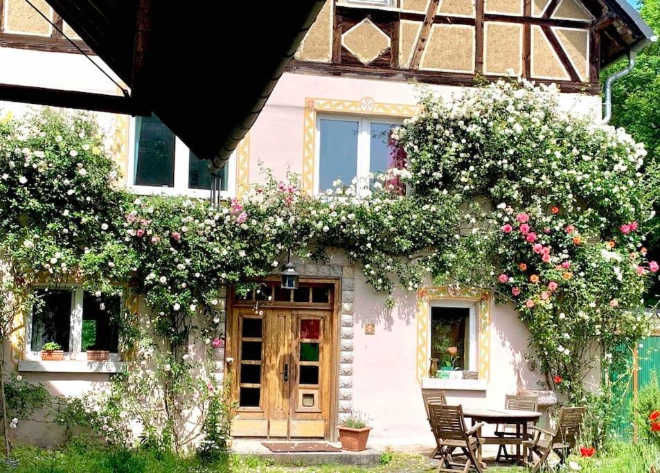 WeinbachKleine Kunstremise Mit Holzofen Burg Freienfels公寓 外观 照片
